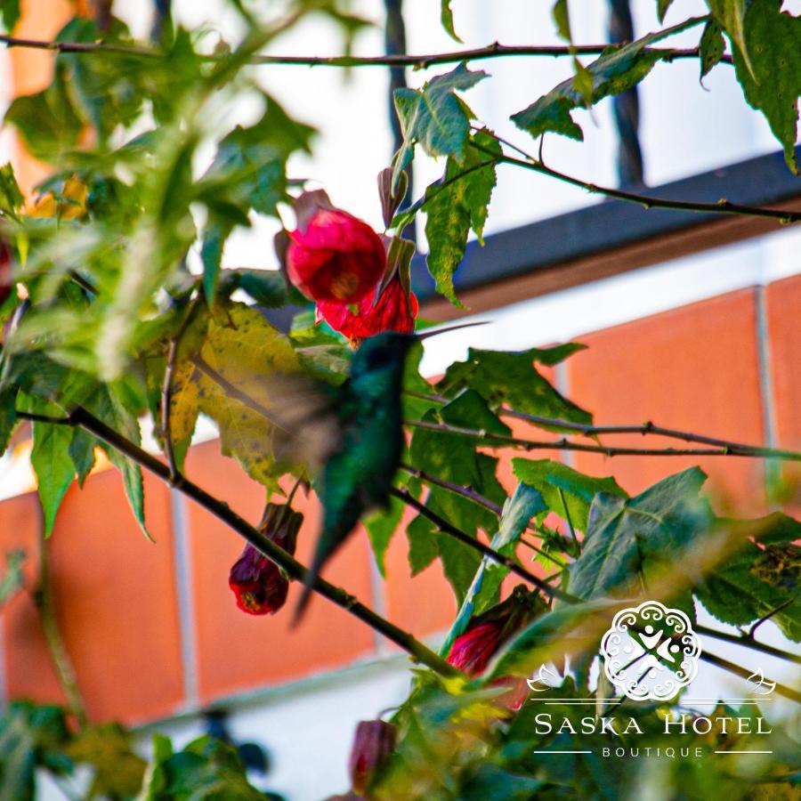 Saska Boutique Hotel 쿠스코 외부 사진